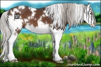 Horse Color:White Spotted Silver Bay Splash