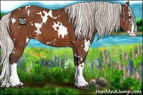 Horse Color:White Spotted Silver Bay Splash