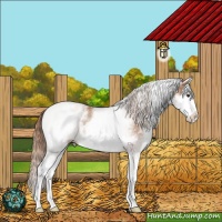 Horse Color:White Spotted Chestnut Splash 