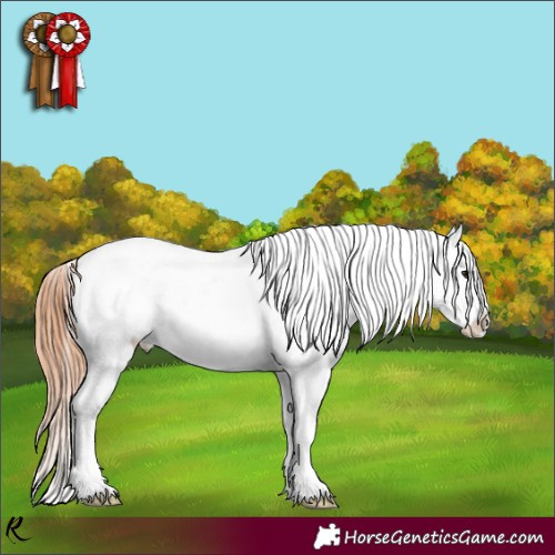 Horse Color:Brown Snowcap 