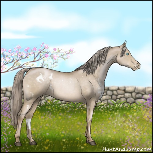 Horse Color:White Spotted Chocolate Palomino Pearl