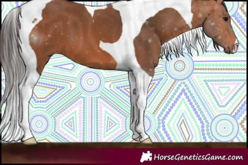 Horse Color:Bay Tobiano