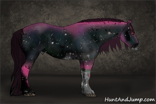 Horse Color:ERROR: UNKNOWN ANOMALY