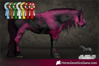 Horse Color:ERROR: UNKNOWN ANOMALY