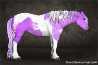 Horse Color:Watercolor Silver Bay Tobiano 
