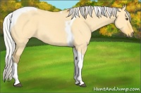 Horse Color:Silver Buckskin Dun Tobiano 