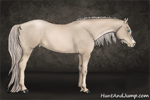 Horse Color:Chocolate Palomino Pearl 
