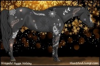 Horse Color:Black and Black