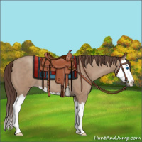 Horse Color:Classic Champagne Roan Splash