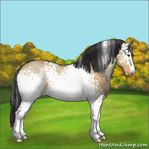 Horse Color:White Spotted Buckskin Dun Sabino Rabicano 