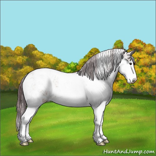 Horse Color:Chocolate Brown Dun Sabino Rabicano