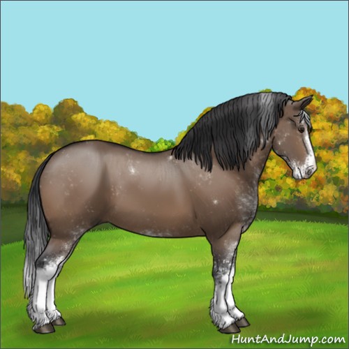 Horse Color:Brown Dun Sabino 