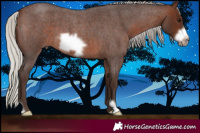 Horse Color:Silver Brown Roan Frame 