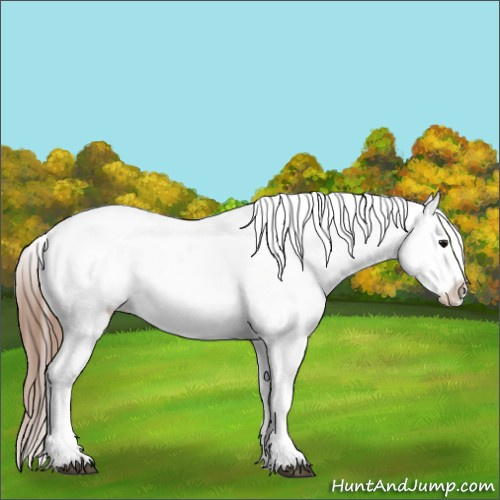 Horse Color:White Spotted Brown Frame Varnish