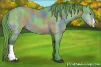 Horse Color:Nacre Watercolor Bay 