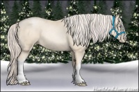 Horse Color:Gold Cream Champagne Pearl 