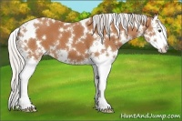 Horse Color:White Spotted Silver Bay Splash 