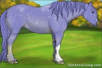Horse Color:Watercolor Chestnut 