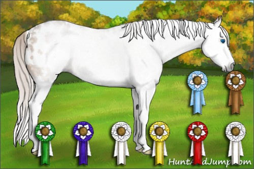 Horse Color:Gray White Spotted Silver Bay Dun Splash Appaloosa 