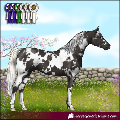 Horse Color:White Spotted Liver Chestnut Mushroom 