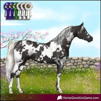 Horse Color:White Spotted Liver Chestnut Mushroom