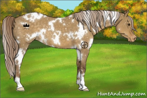 Horse Color:White Spotted Chocolate Palomino Dun Snowflake Varnish