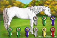 Horse Color:Gray White Spotted Chestnut Blanket
