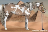 Horse Color:White Spotted Liver Red Dun Mushroom