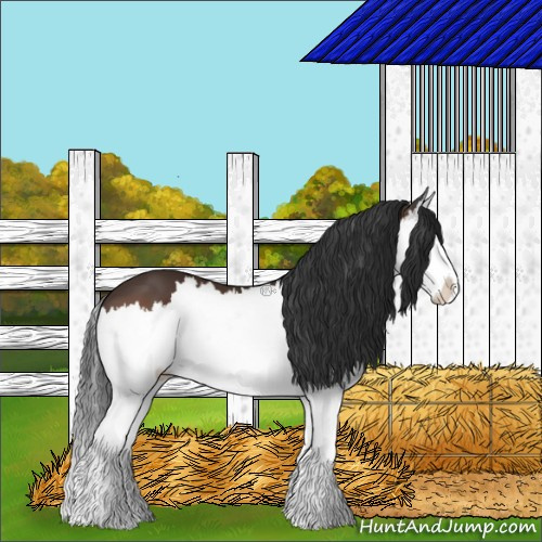 Horse Color:Brown Splash