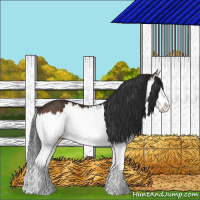 Horse Color:Brown Splash