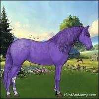 Horse Color:Watercolor Black 