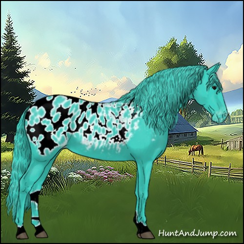 Horse Color:Watercolor Black Appaloosa 