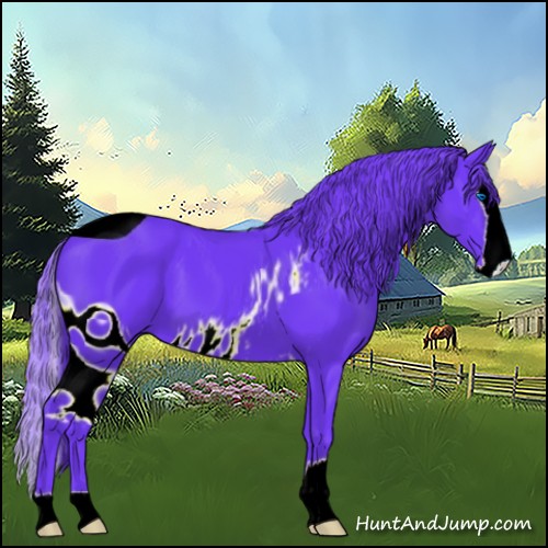 Horse Color:ERROR: UNKNOWN ANOMALY