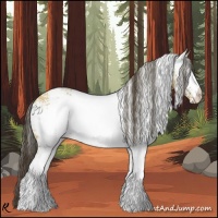 Horse Color:White Spotted Buckskin Dun 