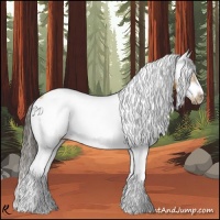 Horse Color:White Spotted Buckskin Splash Frame Rabicano 