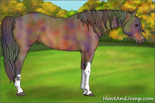 Horse Color:Nacre Brown 