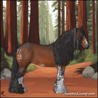 Horse Color:White Spotted Brown 