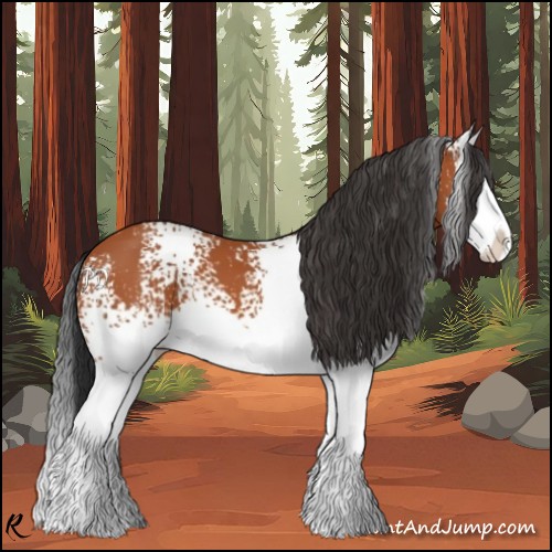 Horse Color:White Spotted Bay Splash 