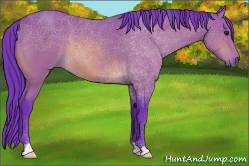 Horse Color:Watercolor Bay 