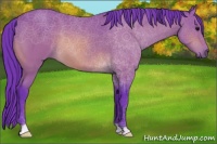 Horse Color:Watercolor Bay 