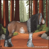 Horse Color:White Spotted Bay 