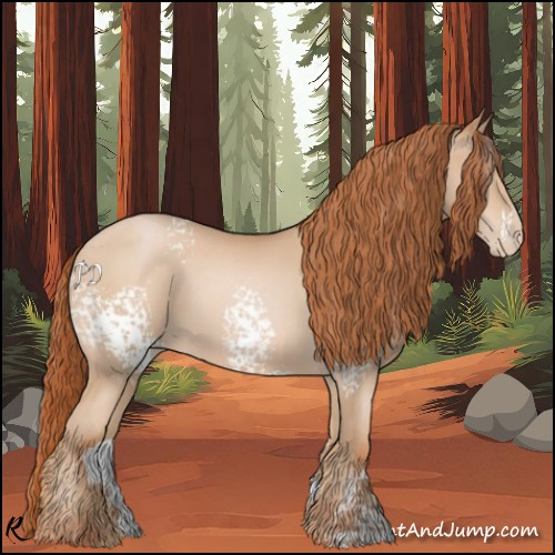 Horse Color:White Spotted Buckskin Pearl 