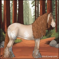 Horse Color:White Spotted Buckskin Pearl 