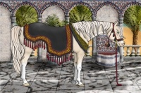 Horse Color:Gold Cream Champagne Pearl 