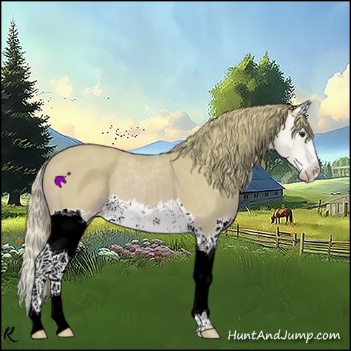 Horse Color:Watercolor Chestnut Splash
