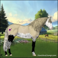 Horse Color:Watercolor Chestnut Splash 