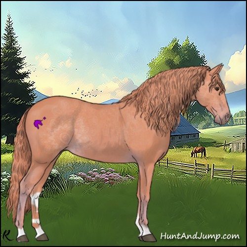Horse Color:Watercolor Chestnut 