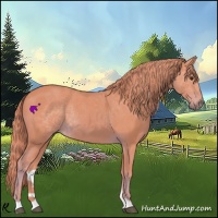 Horse Color:Watercolor Chestnut 