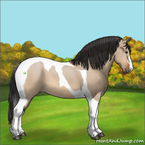 Horse Color:Bay Dun Tobiano 