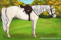 Horse Color:Silver Sable Cream Champagne Pearl 